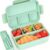 4 Compartments-green