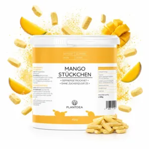 Gefriergetrocknete Mangostückchen I 100% Frucht I Ohne Zuckerzusatz I Vegan & Glutenfrei I  Knuspriger Snack & Topping I Freeze-dried mango slices I Gefriergetrocknete Mango | PlantDEA